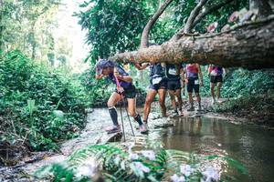 BIB: 
                            <button type="button" onclick="openModal(25435705)" class="btn btn-primary btn-sm float-right btn-popup" data-toggle="modal" data-target=".modal-high-quality">
                        <i class="fas fa-shopping-cart"></i> Add to Cart
                    </button>
                                            <button type="button" onclick="isThisMe(25435705, true)" class="btn btn-success btn-sm float-right btn-popup btn-isme hidden" data-toggle="tooltip" data-placement="bottom" title="นี่คือรูปของคุณใช่ไหม คลิกที่นี่เพื่อเอาเข้าอัลบั้ม">
                        <i class="fas fa-plus"></i> Add to album
                    </button>
                    <button type="button" onclick="isThisMe(25435705, false)" class="btn btn-warning btn-sm float-right btn-popup btn-isnotme hidden">
                        <i class="fas fa-ban"></i> Remove from album
                    </button>